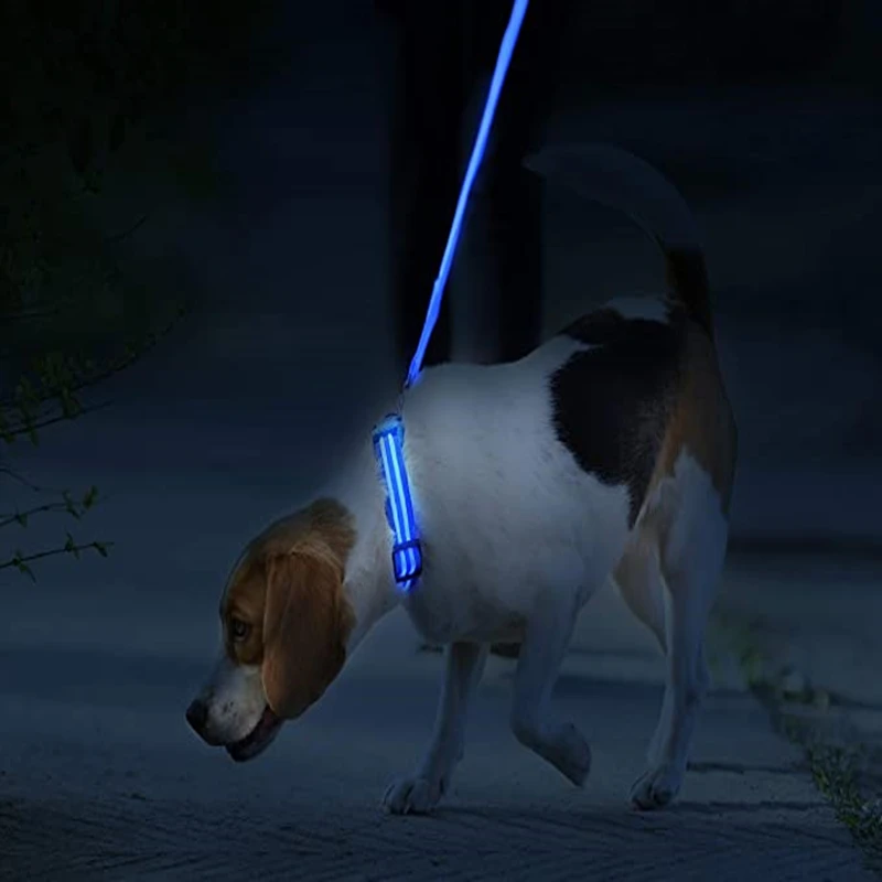3 Modes Dog Luminous Charge Collar Led Usb Cat Dogs Collars Detachable Night Led Glow Dog Loss Prevention Collar Pet Accessories 3 Modes Dog Luminous Charge Collar Led Usb Cat Dogs Collars Detachable Night Led Glow Dog Loss Prevention Collar Pet Accessories