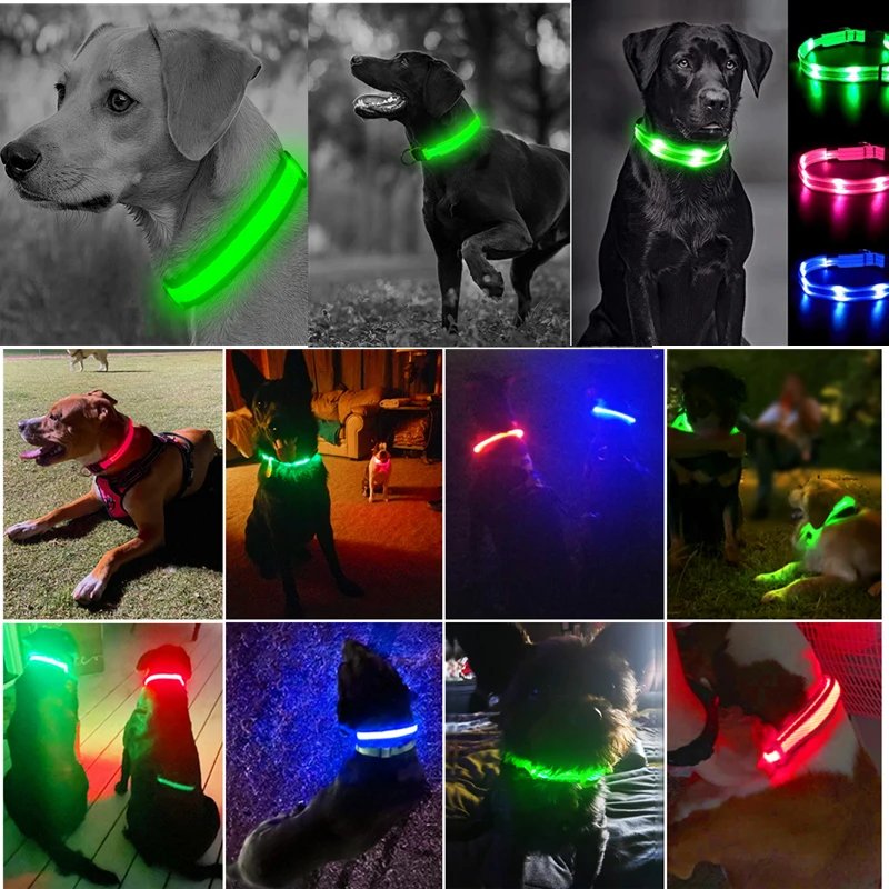 3 Modes Dog Luminous Charge Collar Led Usb Cat Dogs Collars Detachable Night Led Glow Dog Loss Prevention Collar Pet Accessories 3 Modes Dog Luminous Charge Collar Led Usb Cat Dogs Collars Detachable Night Led Glow Dog Loss Prevention Collar Pet Accessories