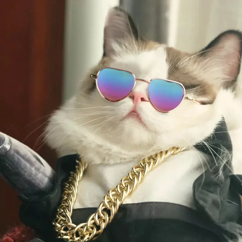 Cute Small Dog / Kitty Animal Eyewear Cute Small Dog / Kitty Animal Eyewear