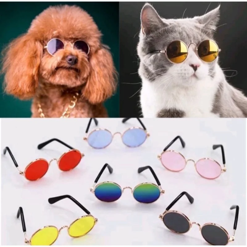 Cute Small Dog / Kitty Animal Eyewear Cute Small Dog / Kitty Animal Eyewear