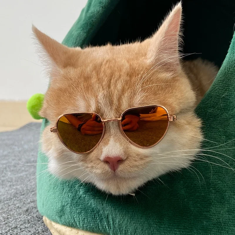 Cute Small Dog / Kitty Animal Eyewear Cute Small Dog / Kitty Animal Eyewear