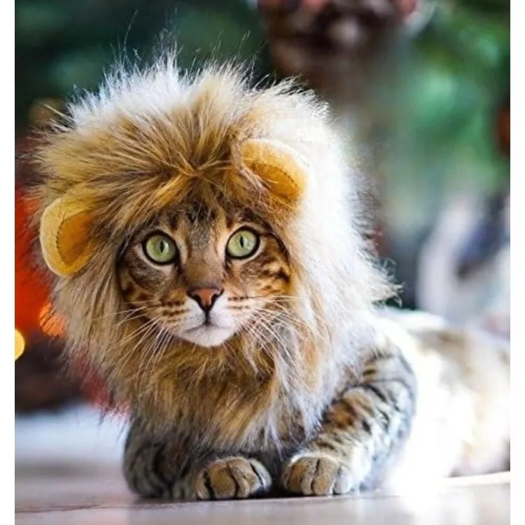Lion Mane Pet Costume Lion Mane Pet Costume
