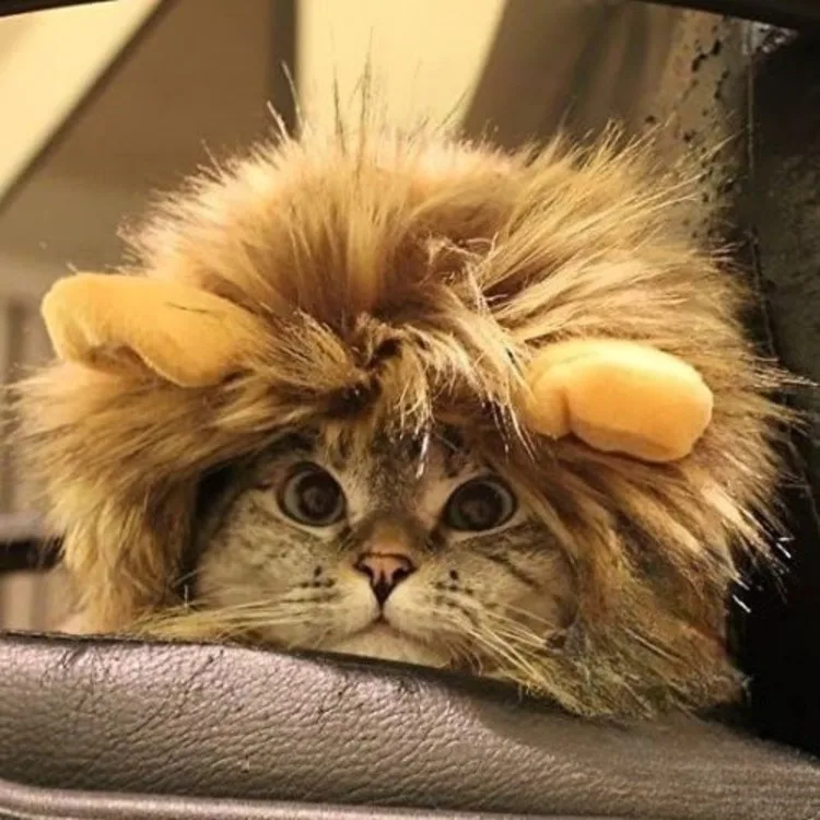 Lion Mane Pet Costume Lion Mane Pet Costume
