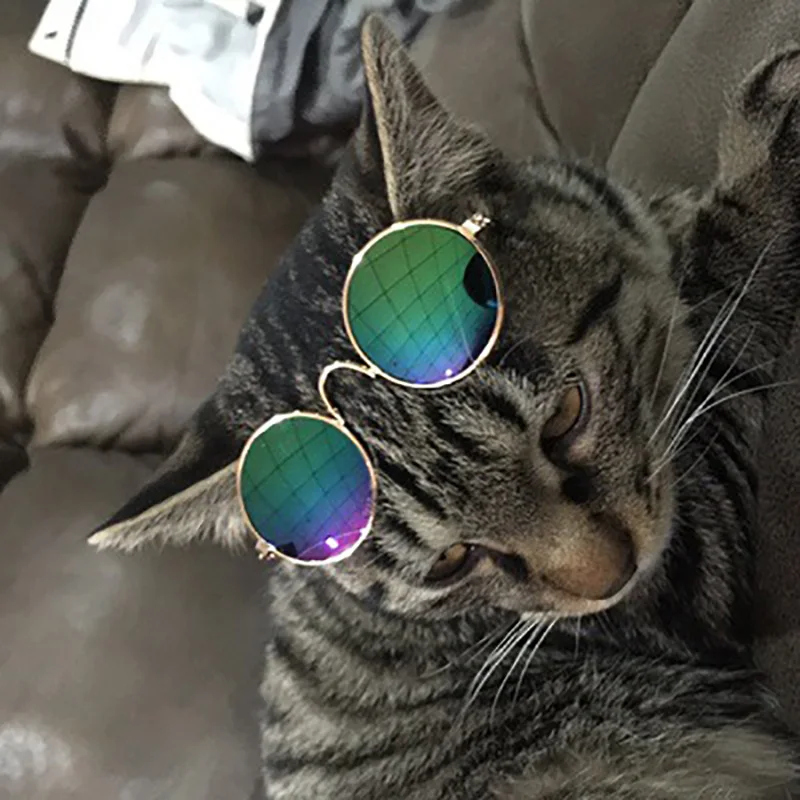 Lovely Vintage Round Cat/ Small Dog Sunglasses
