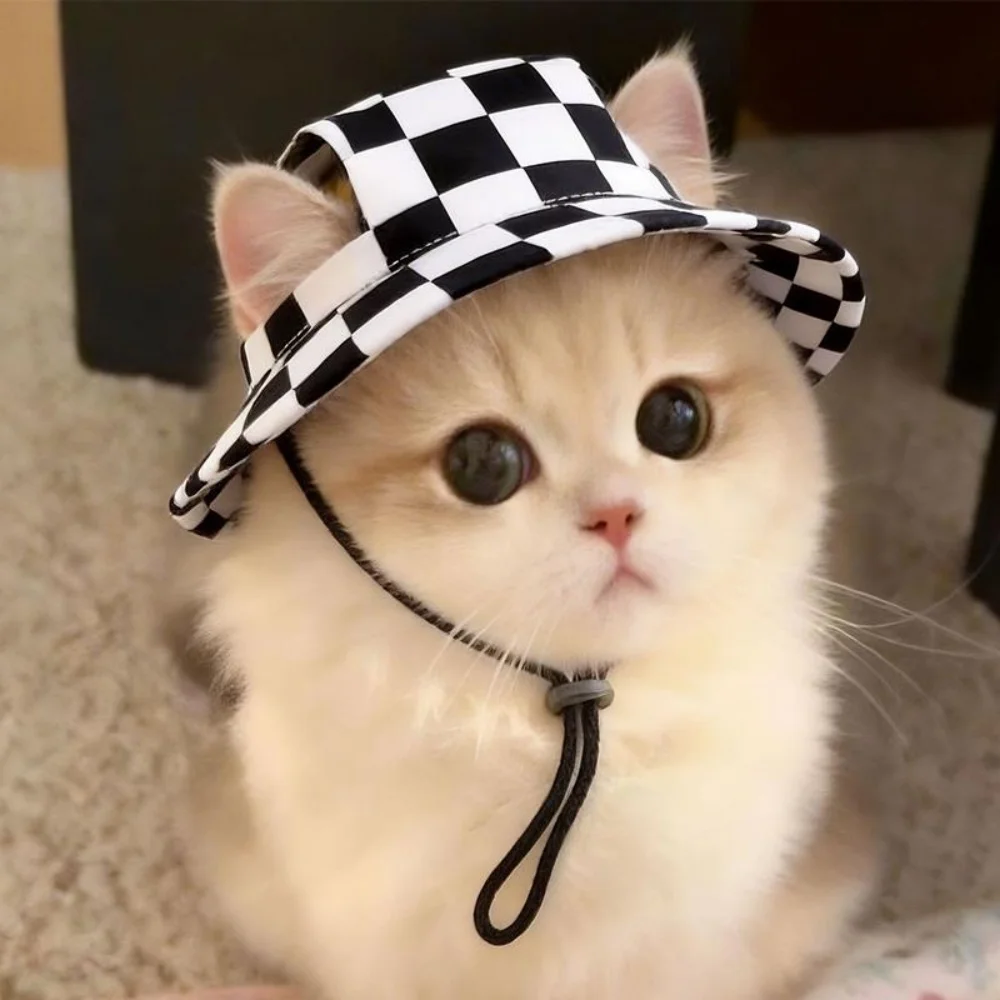 Summer Pet Cat / Dog hat With Ear Holes Summer Pet Cat / Dog hat With Ear Holes