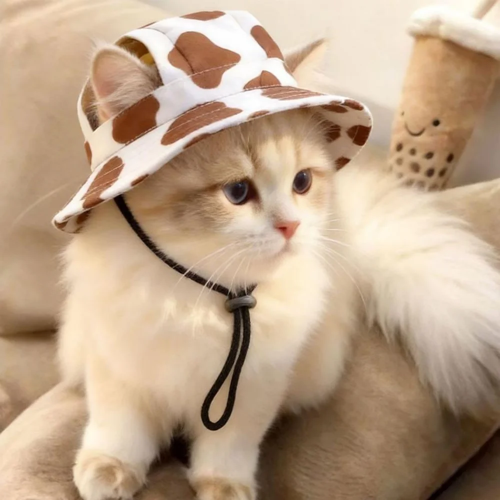 Summer Pet Cat / Dog hat With Ear Holes Summer Pet Cat / Dog hat With Ear Holes