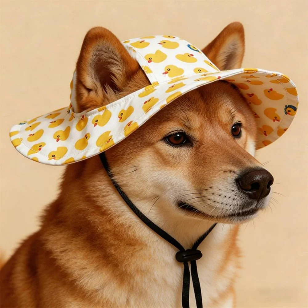 Summer Pet Cat / Dog hat With Ear Holes Summer Pet Cat / Dog hat With Ear Holes
