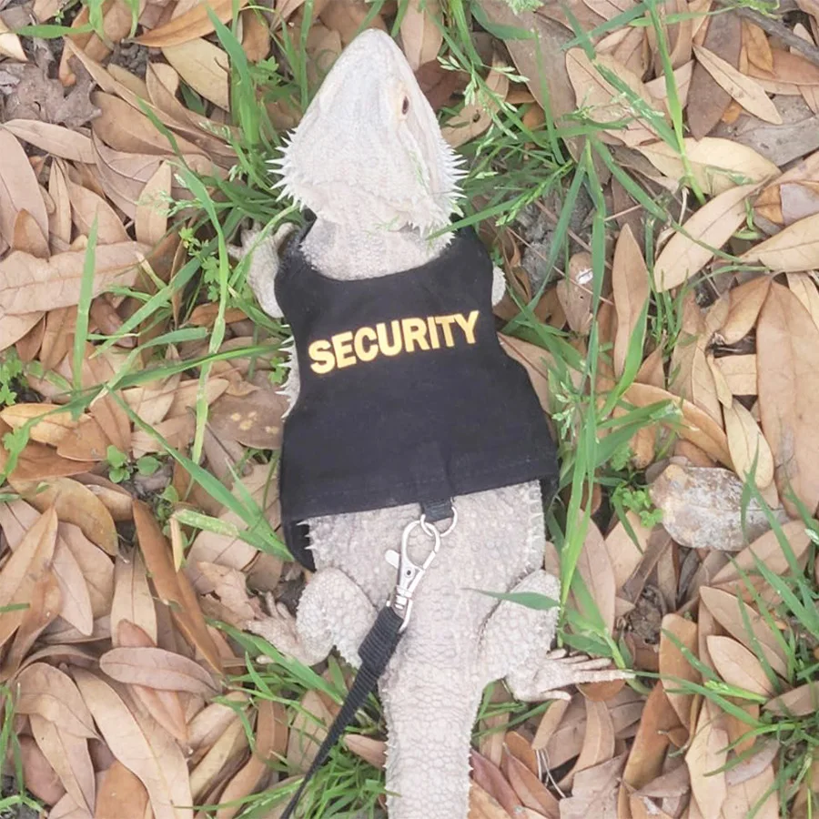 Multi Lizard Leash Harness Soft Padding Reptile Leather Dragon Wings Vest Top with Hook and Loop Small Animals Cute Clothes