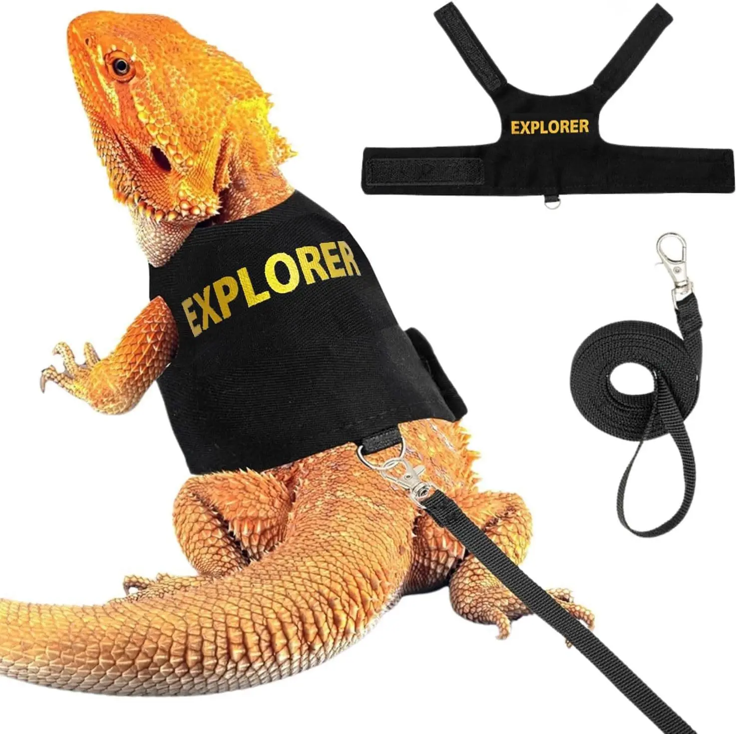 Multi Lizard Leash Harness Soft Padding Reptile Leather Dragon Wings Vest Top with Hook and Loop Small Animals Cute Clothes
