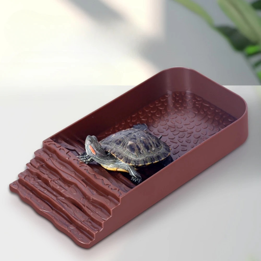 Reptile Feeding / Bathing Water Bowl for Snake, Turtle, Bearded Dragon, Lizard
