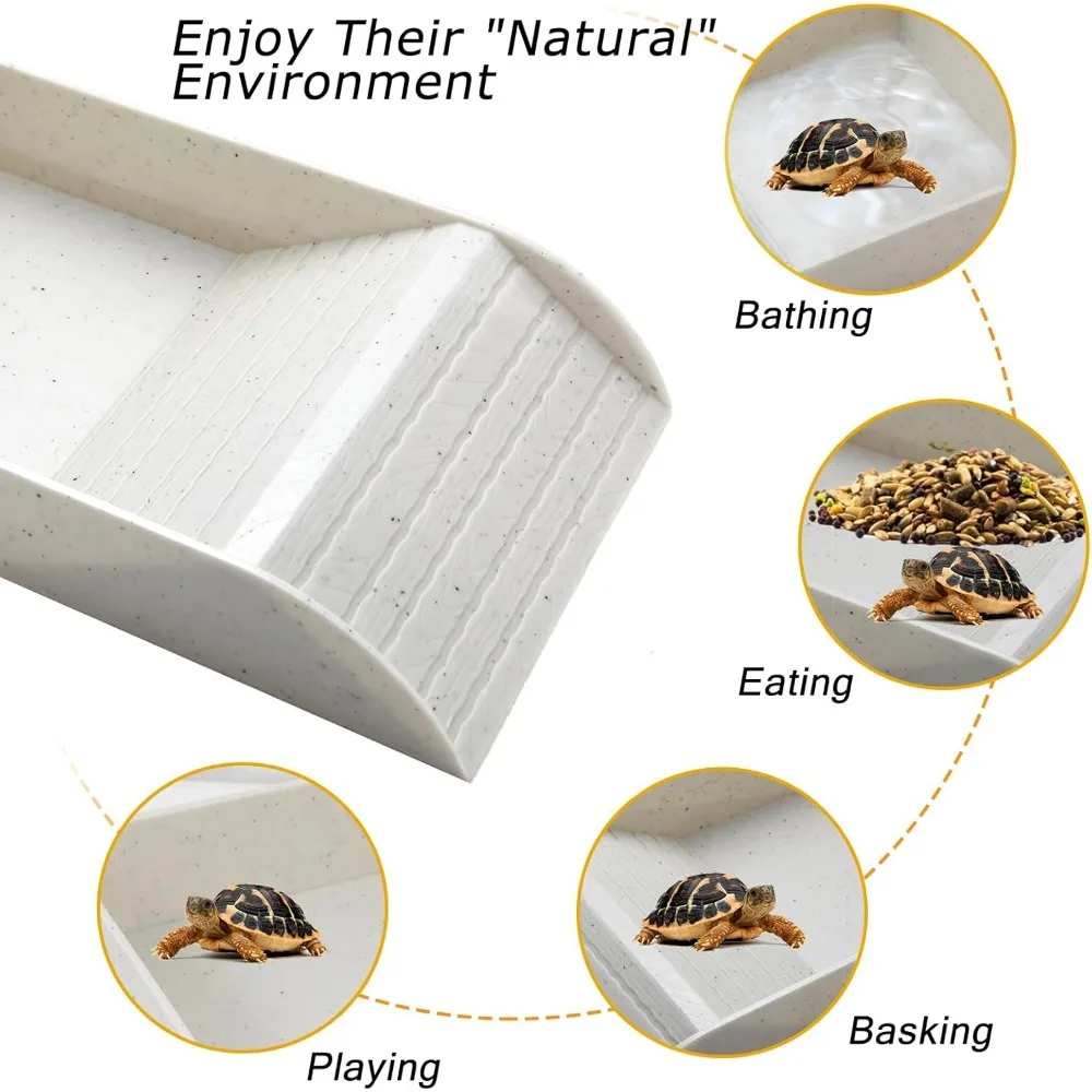 Reptile Feeding / Bathing Water Bowl for Snake, Turtle, Bearded Dragon, Lizard