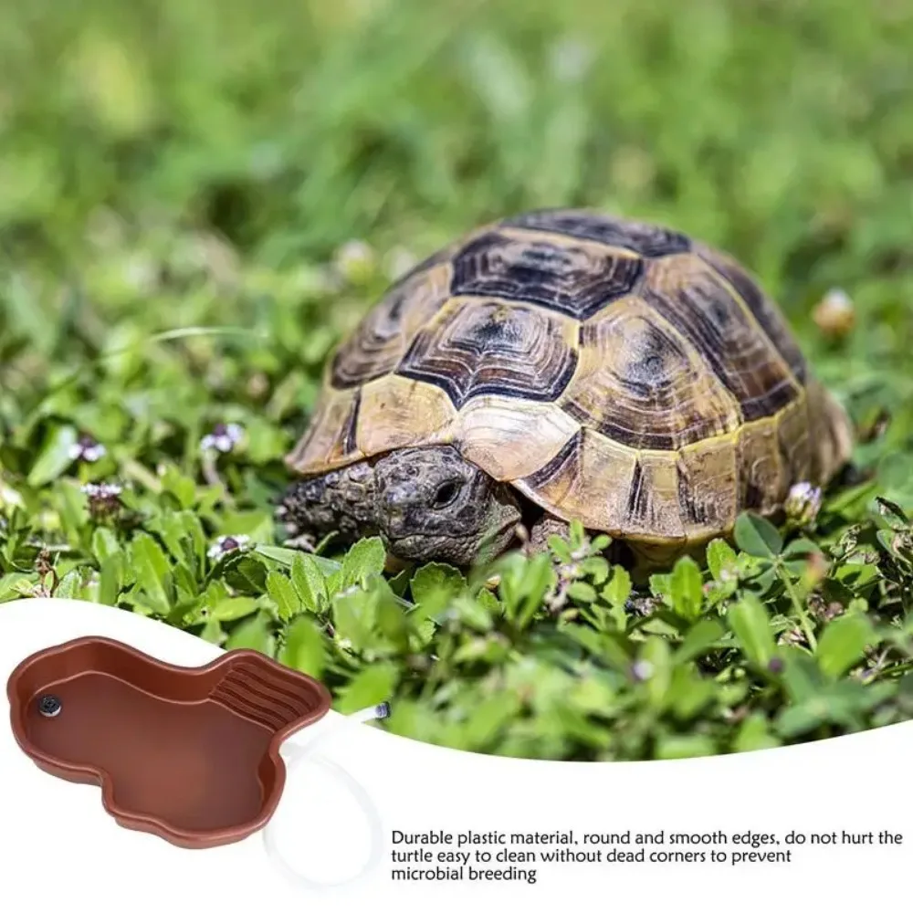 Reptile Feeding / Bathing Water Bowl for Snake, Turtle, Bearded Dragon, Lizard