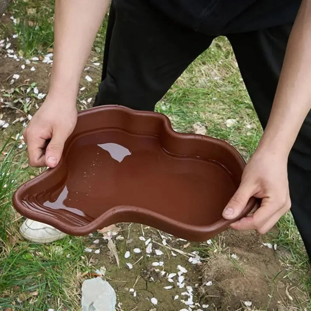 Reptile Feeding / Bathing Water Bowl for Snake, Turtle, Bearded Dragon, Lizard