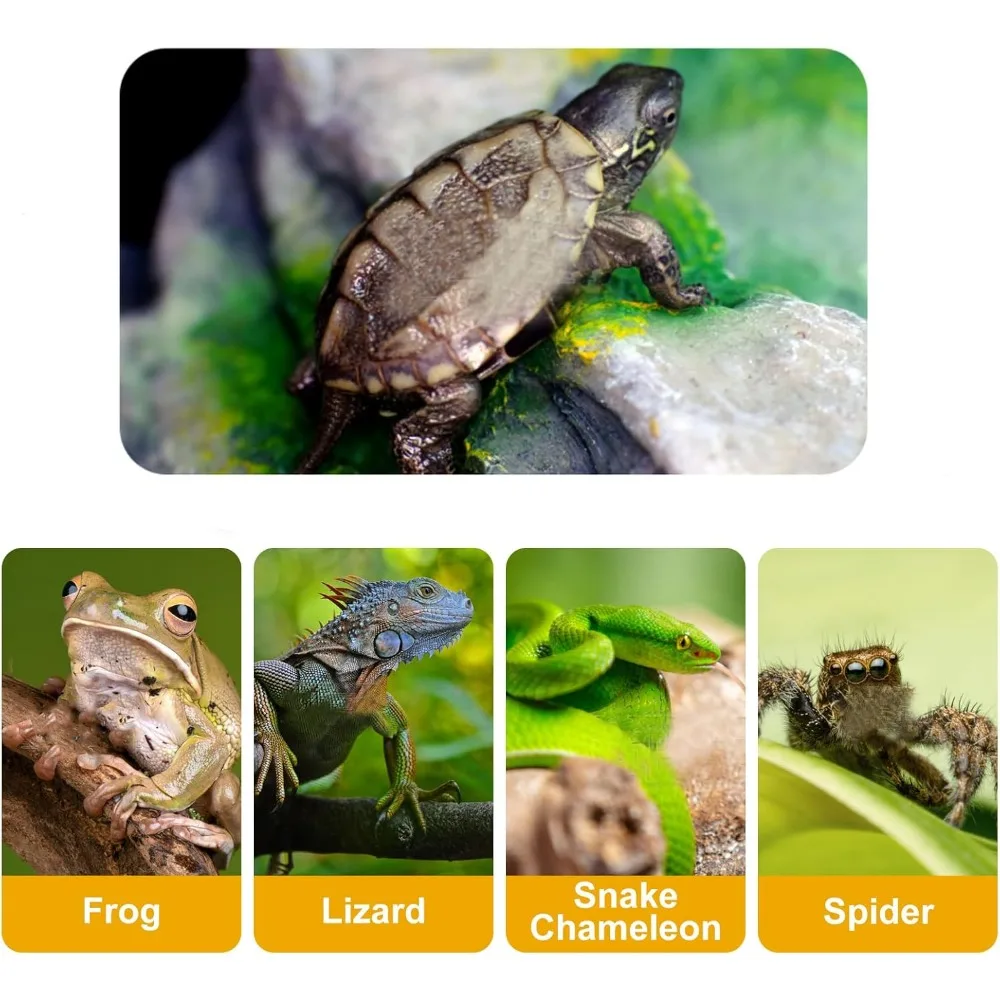 Reptile Feeding / Bathing Water Bowl for Snake, Turtle, Bearded Dragon, Lizard