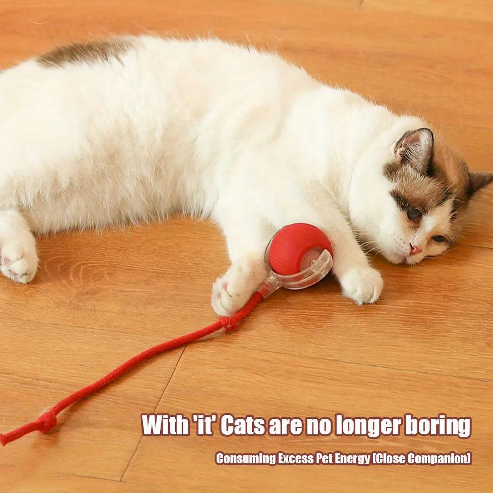 Automatic Interactive Cat Ball Toy Rechargeable Automatic Interactive Cat Ball Toy Rechargeable