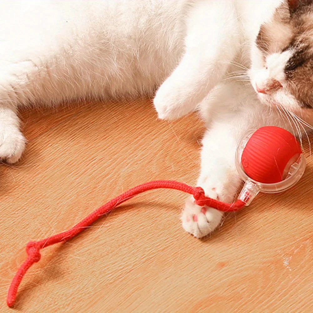 Automatic Interactive Cat Ball Toy Rechargeable Automatic Interactive Cat Ball Toy Rechargeable