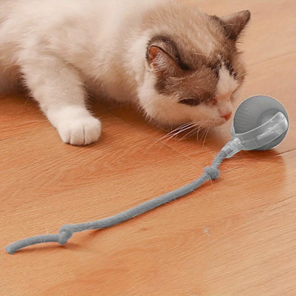 Automatic Interactive Cat Ball Toy Rechargeable Automatic Interactive Cat Ball Toy Rechargeable